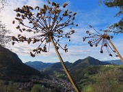 MONTE CASTELLO (croce 1425 – cima 1474 m) da Valpiana di Serina il 29 settembre 2024 - FOTOGALLERY